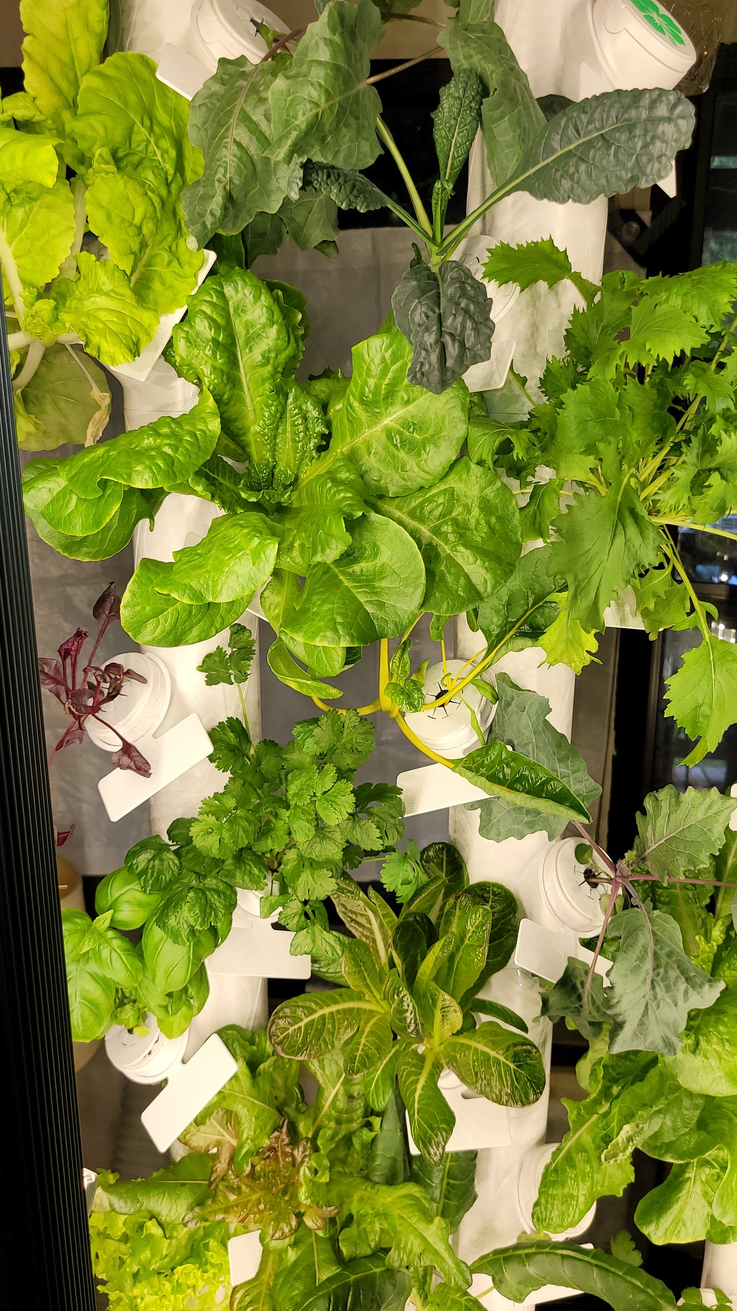 Grow with Gardyn